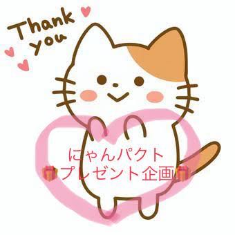 Nyanpakuto Oripa present for Dokodoko Waina!