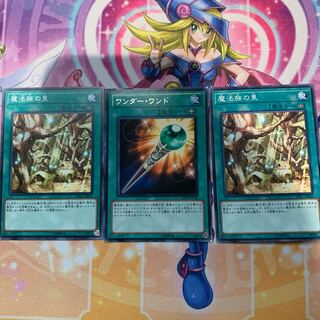 魔法族の里、ワンダー・ワンド