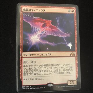 孤光のフェニックス　PWマーク付き