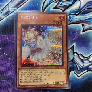Yu-Gi-Oh! Ash Blossom & Joyous Spring Secret RC04-JP009