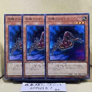 赤蟻アスカトル ノーマル JP030