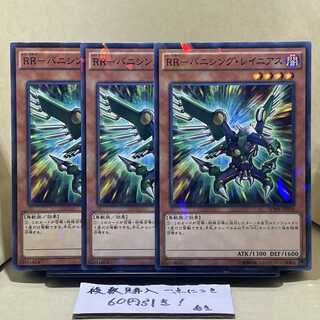 RR-Vanishing Rainiers Parallel Normal JP016