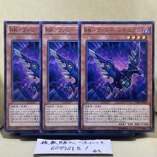 RR-Fuzzy Rainiers Rare JP013