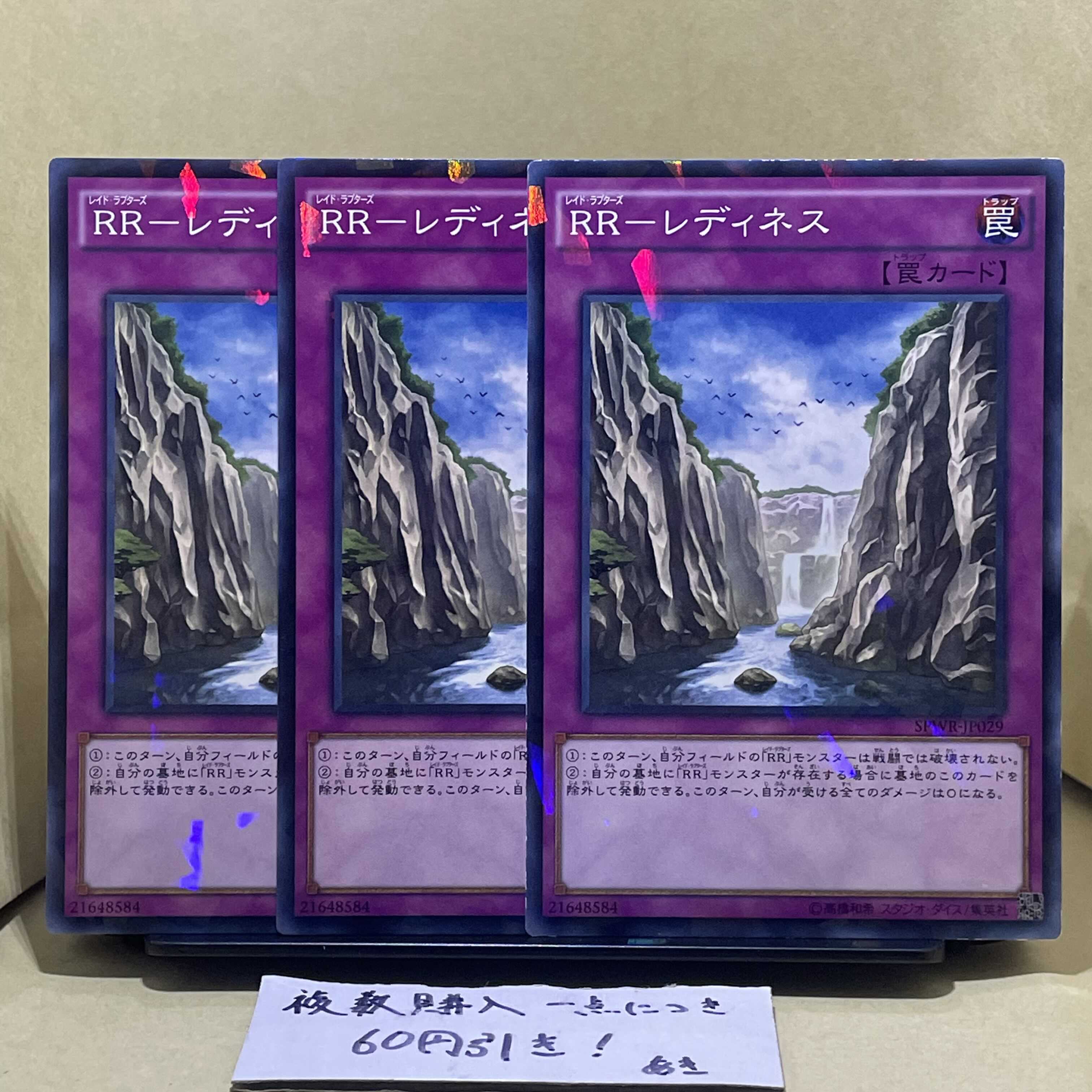 RR-レディネス パラレル ノーマル JP029