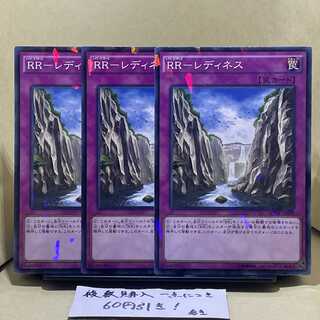 RR-レディネス パラレル ノーマル JP029