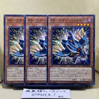 RR-Ladder Strix Normal JP014