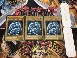 英語版 青眼の白龍 2期ver ノーマル 3枚セット