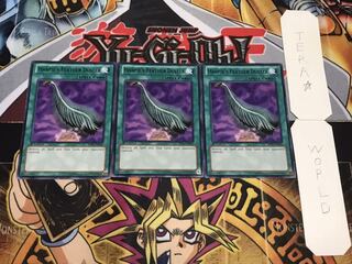 英語版 ハーピィの羽根箒 黒レア 3枚セット