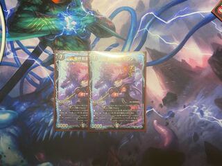 最終龍覇 ボロフ 14/25