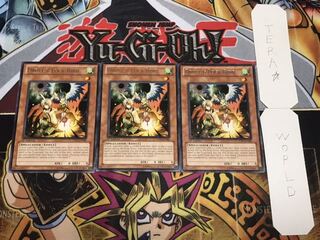 英語版 ドロール&ロックバード レア 3枚セット