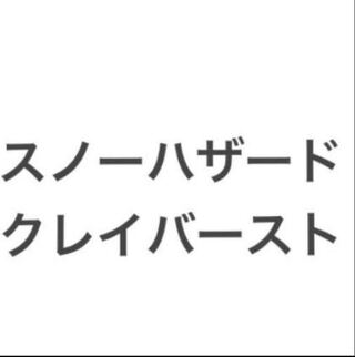 Lots Exclusive Snow Hazard 2box Clayburst 2box