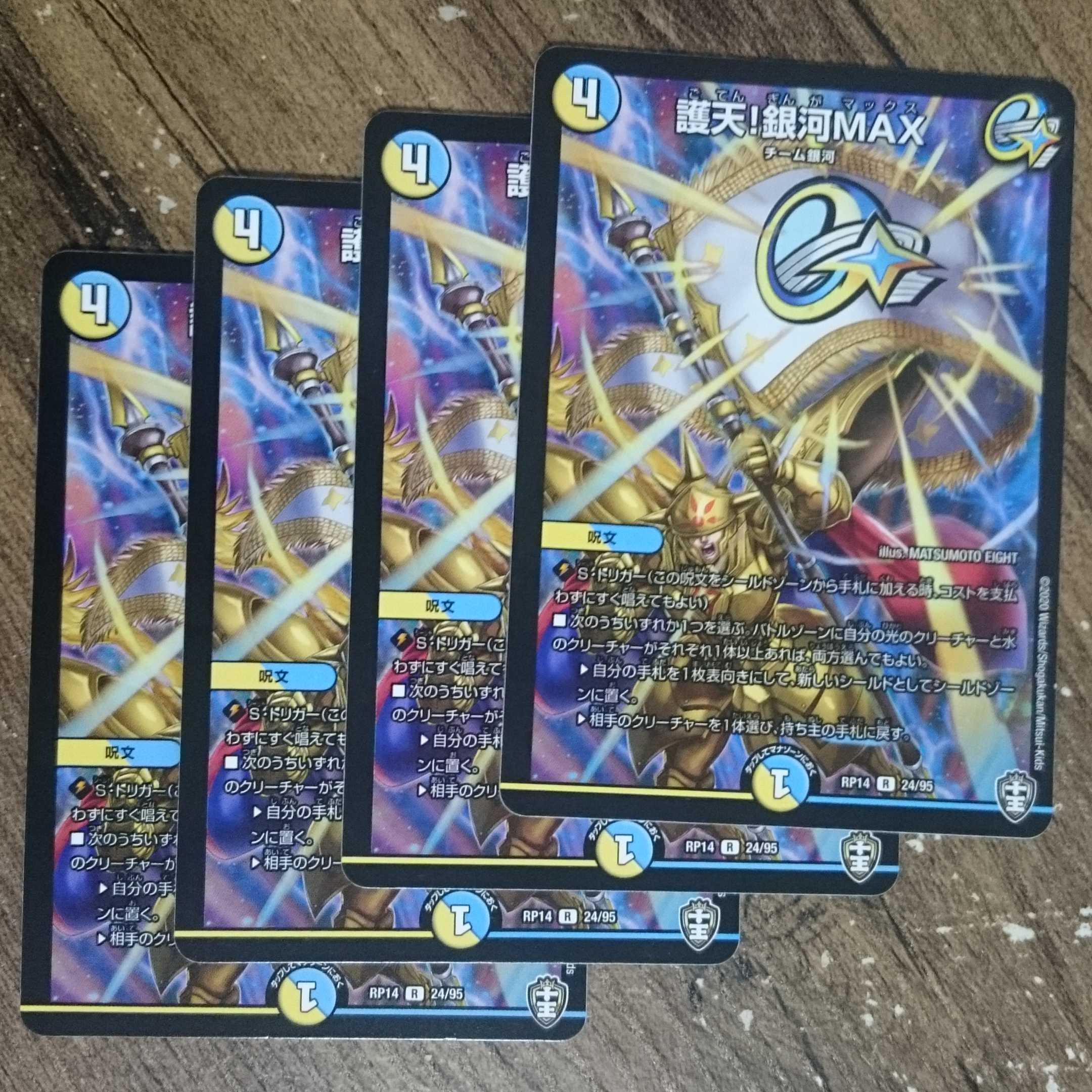 Proten! Ginga MAX R 24/95 RP14