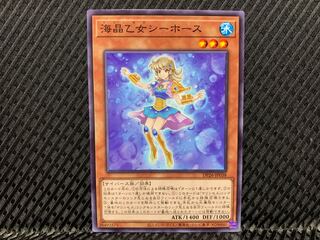 Marincess Sea Horse Normal