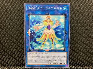 【アゴ之内】遊戯王 海晶乙女コーラルアネモネ ノーマル
