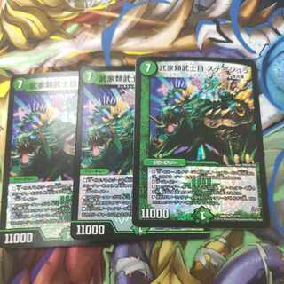 Samurai family Samurai order Stejura