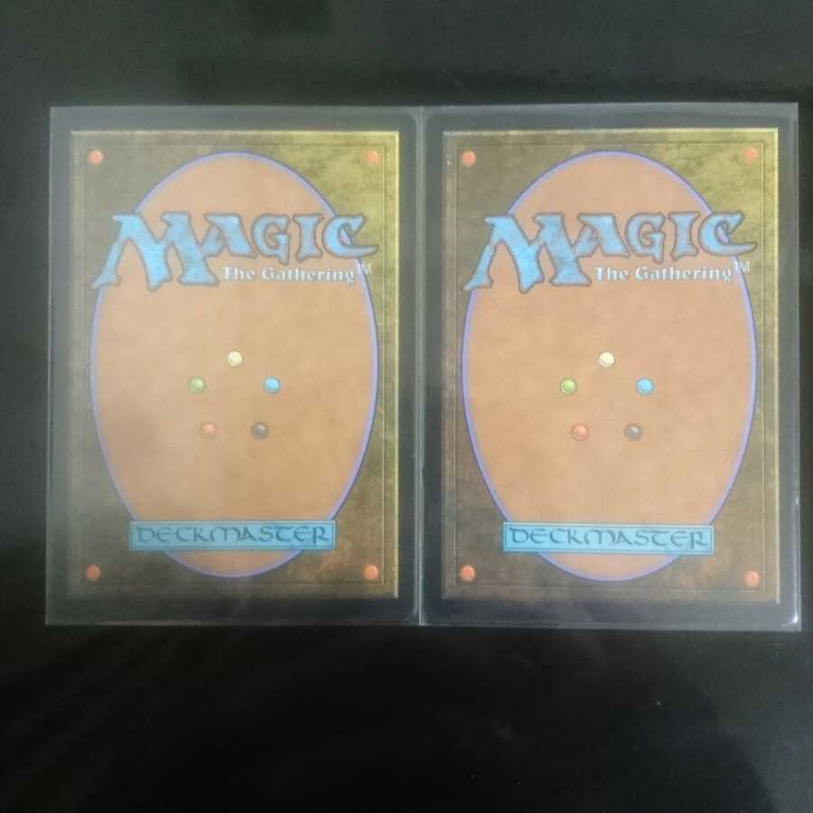 吸収 2枚セット【RNA,日本語版】