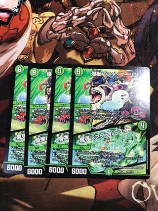 Bakunyu Panda Boleyn｜Magic Bullet Panda Full Life C 130/138