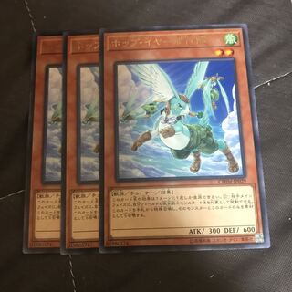 マドレース ホップ・イヤー飛行隊