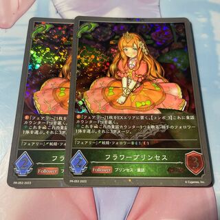 Hula Warp Princesses PR 2 copies