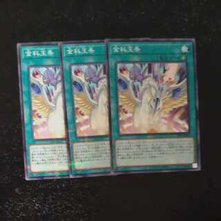 Parallel Normal JP004✕3 [Mokurindo