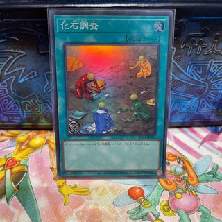 No.1290 P屋 Fossil Dig