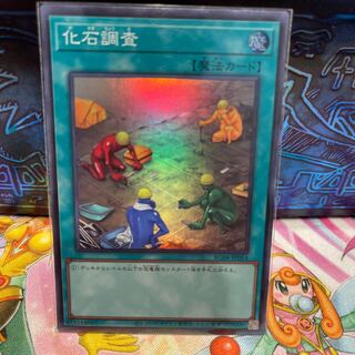 No.1277 P屋 Fossil Dig