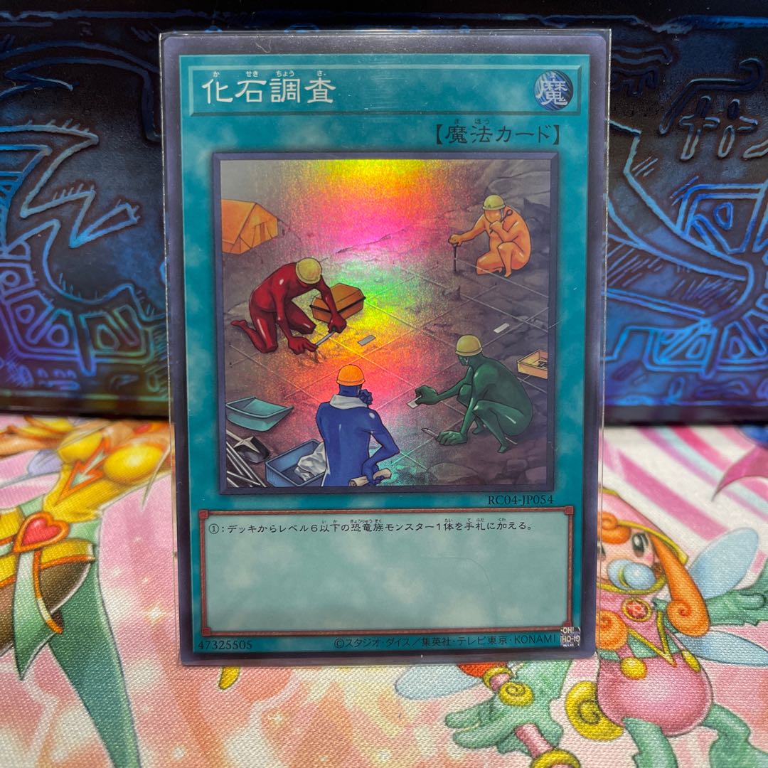 No.886 P屋 Fossil Dig