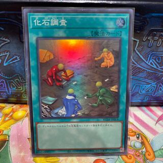 No.1276 P屋 Fossil Dig