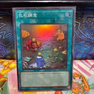 No.1738 P屋 Fossil Dig