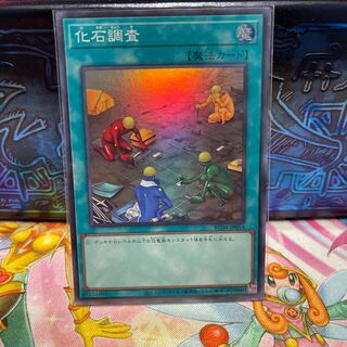 No.1739 P屋 Fossil Dig