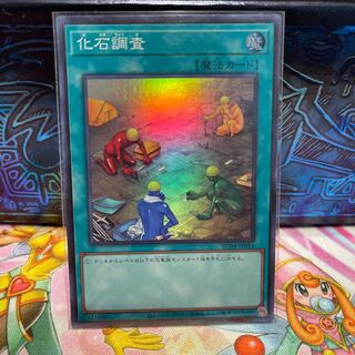 No.1740 P shop Fossil Dig