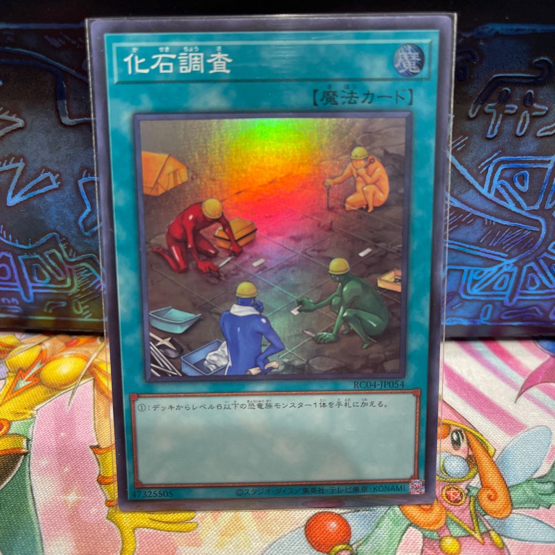 No.1741 P shop Fossil Dig