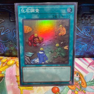 No.1741 P屋　化石調査 【スー】