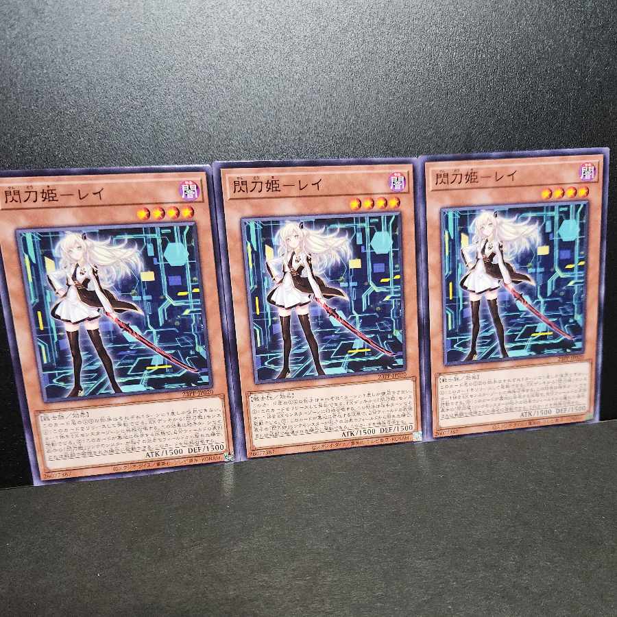 Sparkling Sword Princess - Rei