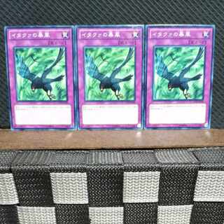 【ぽぽたん】遊戯王  #1871  イタクァの暴風  ノーマル  3枚