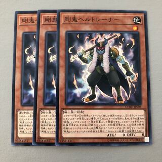 Gouki Ringtrainer Normal JP005