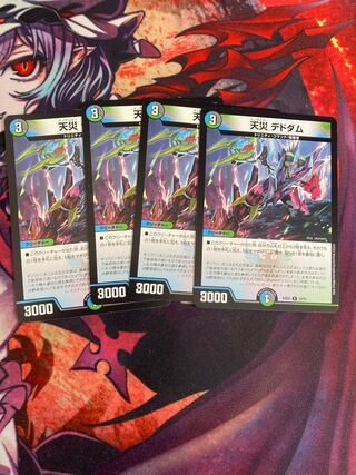 天災 デドダム R 33/75