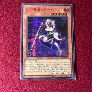 Arcus, the Sage of Arms, Red Sikh