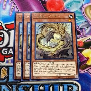 天威龍 アーダラ