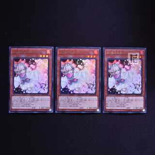 Ash Blossom & Joyous Spring RC03 Ultra 3-Piece Set/Managed by MY0952