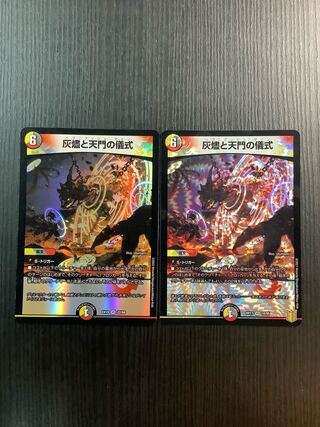 Ritual of Ashes and Heavenly Gates VR 2 copies