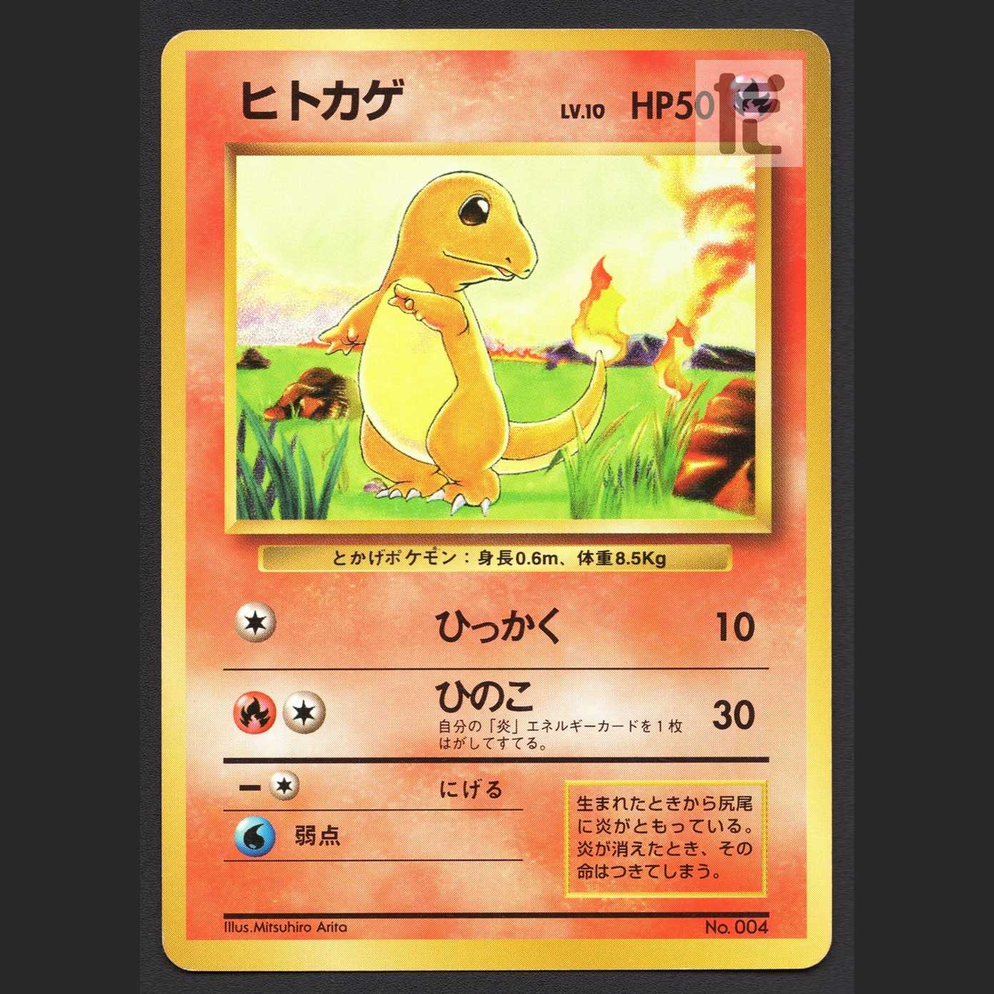 Charmander LV.10 unmarked [Plaid] old back/managed by MP4077