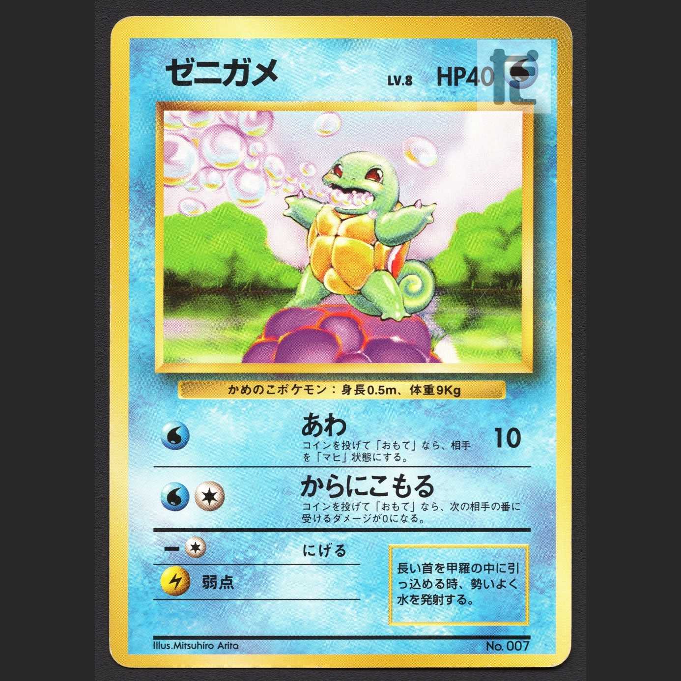 Squirtle LV.8 unmarked [Plaid] old back/managed by MP4076