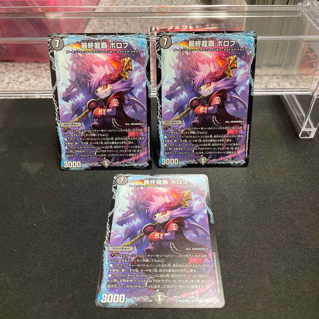 Final Dragon Heights Borov 14/25