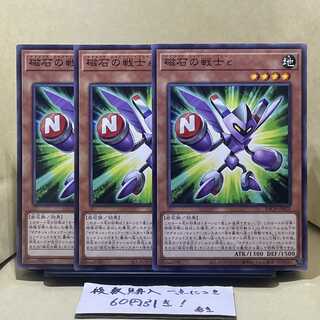 磁石の戦士ε ノーマル JP020