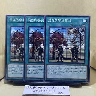 Supernatural Danger Zone Normal JP067