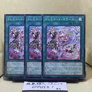 Solfachord Scale Normal JP023