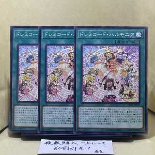 Solfachord Harmonia Normal JP024