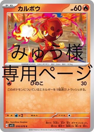 みゅう様専用ページ