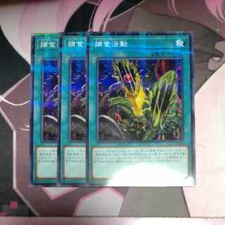 Predapractice Parallel Normal JP040 3 copies